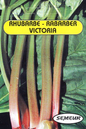 Semences potagères : Rhubarbe Victoria