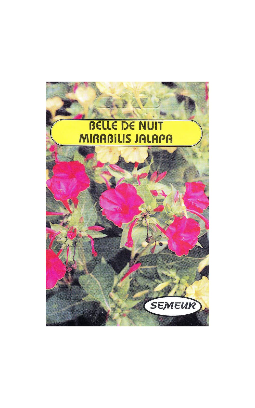 Semences de fleurs : Belle de nuit à fleurs variées : Hello Seeds