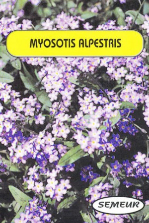 Semences de fleurs : Myosotis Des Alpes bleu