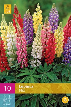 Bulbes à fleurs plantation printemps : Lupin En mélange