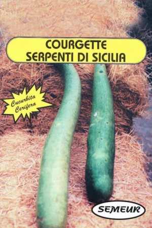 Semences potagères : Coloquinte Serpent de Sicile