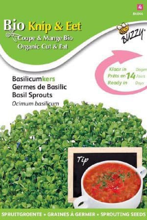 Semences potagères : Graines à germer Basilic BIO