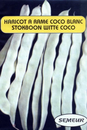 Semences potagères : Haricot à rames Coco blanc