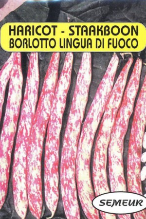 Semences potagères : Haricot à rames Borlotto Lingua di Fuoco