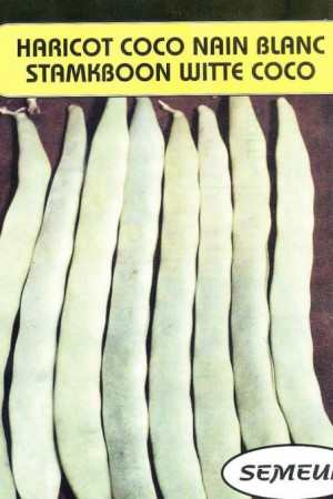 Semences potagères : Haricot nain à parchemin Coco nain blanc